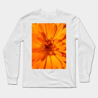 Calendula Long Sleeve T-Shirt